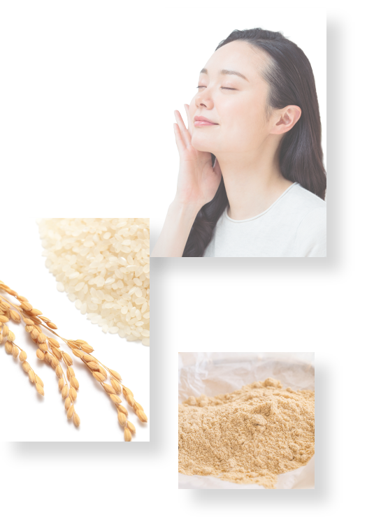 コンセプトイメージ